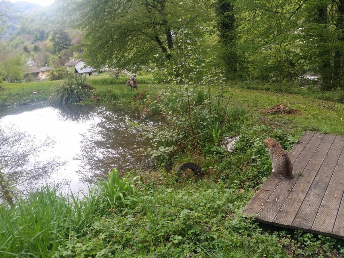 La Maison D'Eulalie La Chapelle-du-Bard Eksteriør bilde